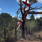 Pai de Henrique e Juliano pilota helicóptero em pouso forçado no Tocantins