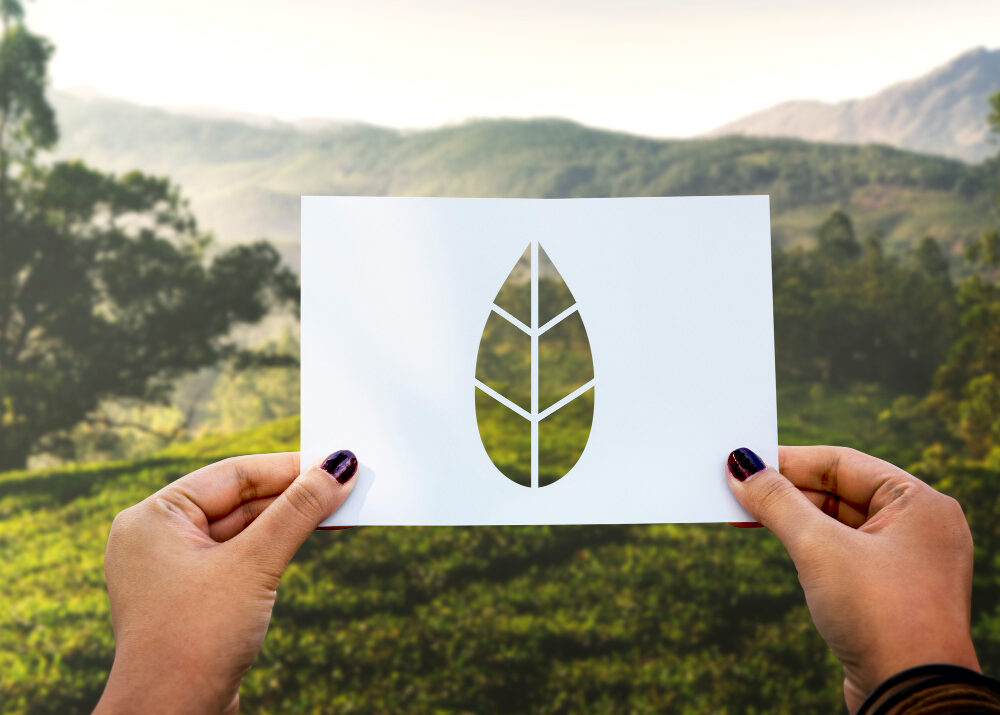 Unlock-firma-parceria-com-Carbon-Free-Brasil-para-neutralizar-impacto-ambiental.jpg